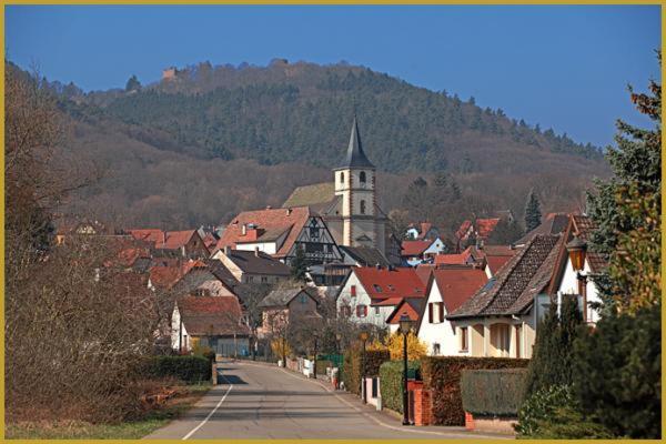 Gite Habsiger Ottrott Exterior foto